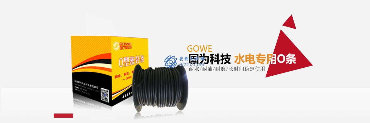 水輪機(jī)密封——電站用O條特點(diǎn)及要求